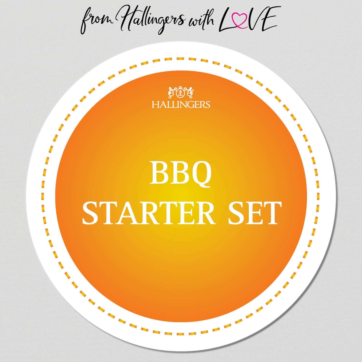 hallingers-kochen-bbq-starter-set-gew-rzset-tragetasche-760g image 6