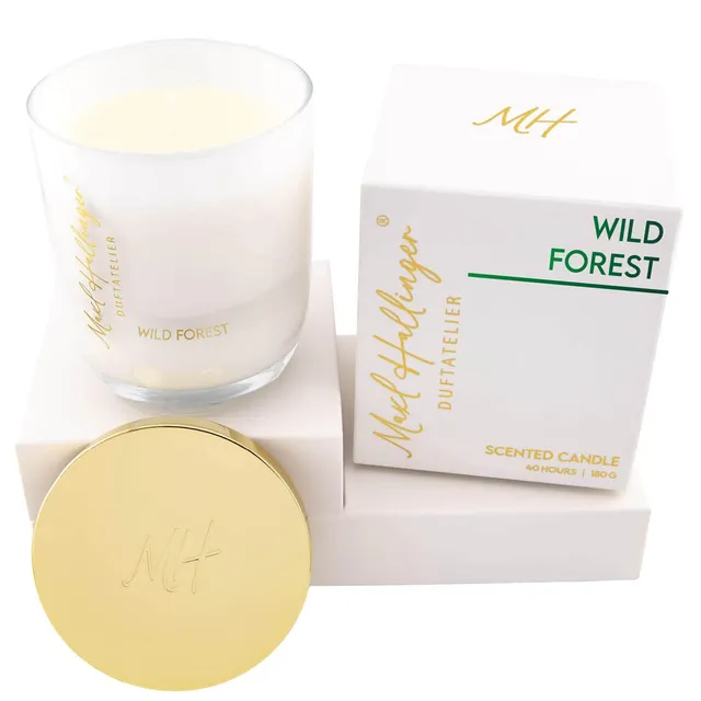 hallingers-spirituals-wild-forest-duftkerze-sojawachs-40h-geschenkbox image 1