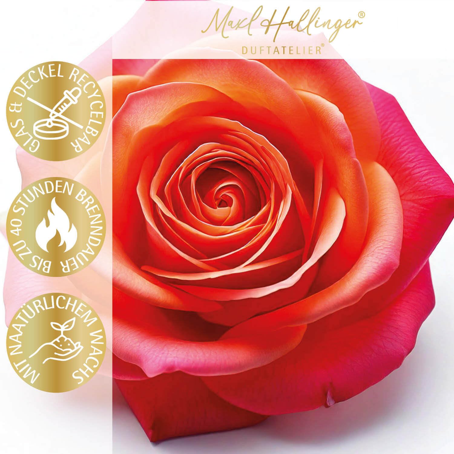 hallingers-spirituals-frohe-ostern-h-schen-duftkerze-180g-rose image 5