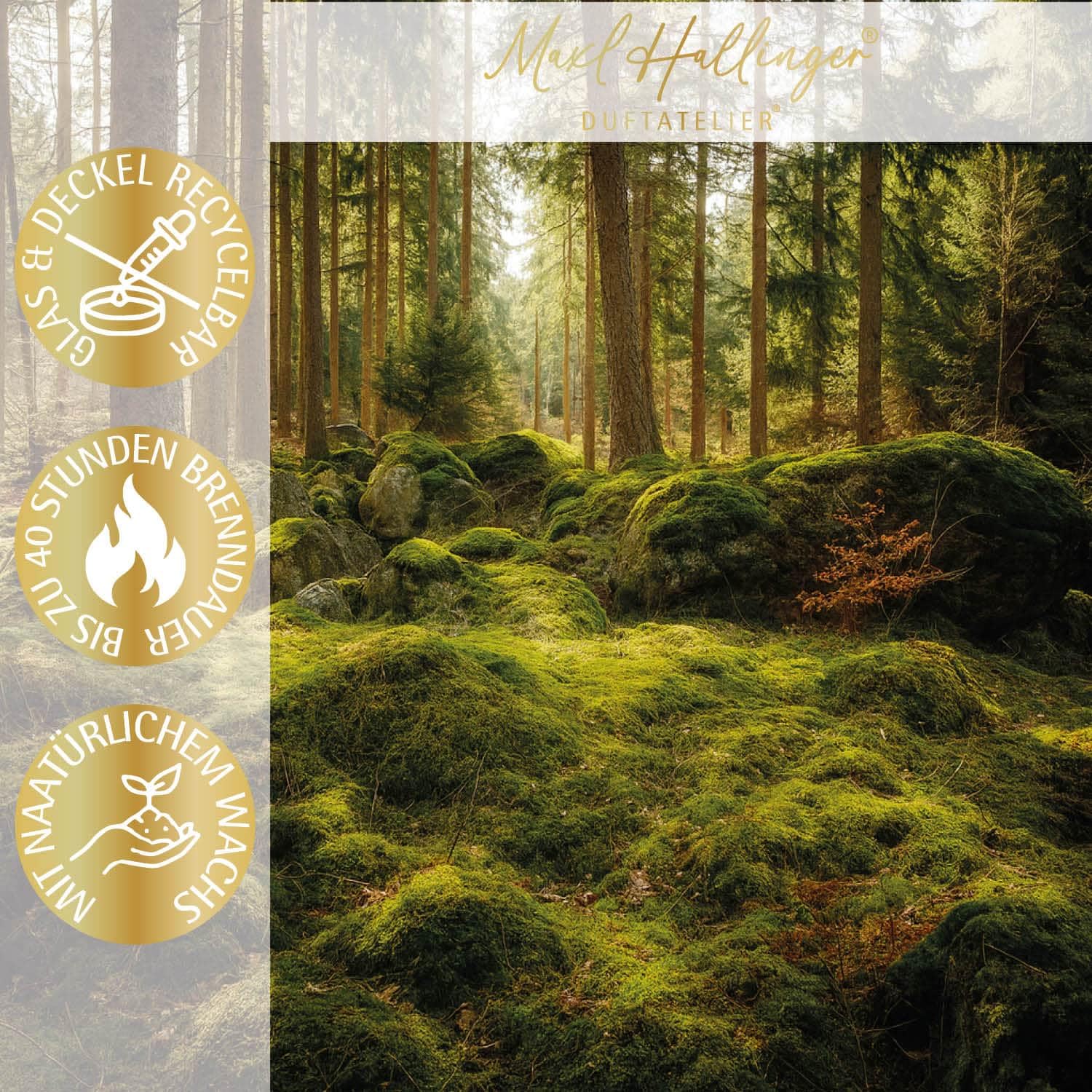 hallingers-spirituals-wild-forest-duftkerze-sojawachs-40h-geschenkbox image 2