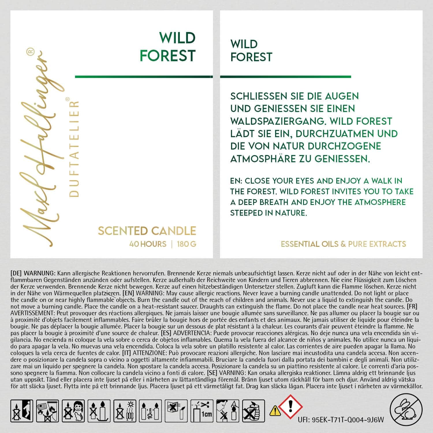 hallingers-spirituals-wild-forest-duftkerze-sojawachs-40h-geschenkbox image 3